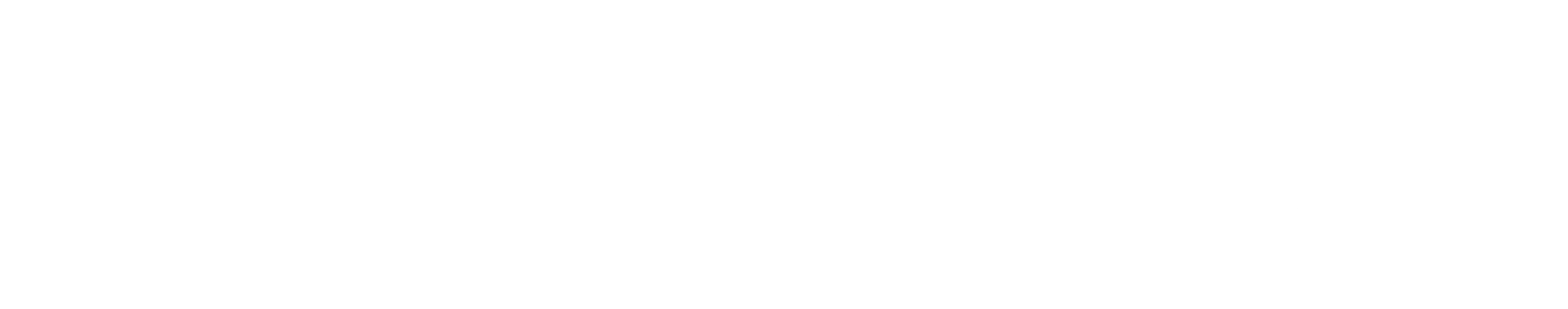 TasiFlow